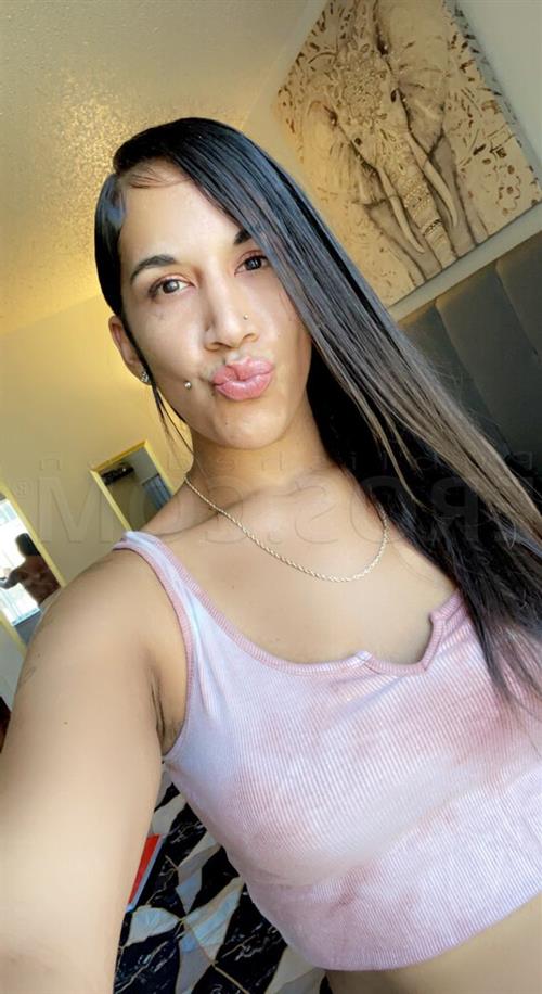 Parandeep, escort in Napoli id19